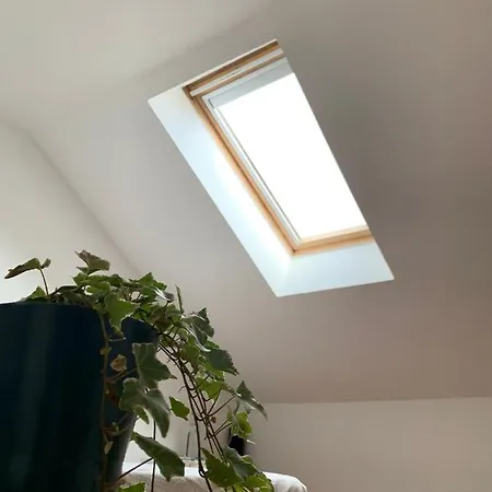 Quarto Com Banheiro Privativo Lisbon